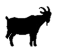 Productos de cabra CAPRIJARA